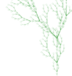 line fractals - fractal bush